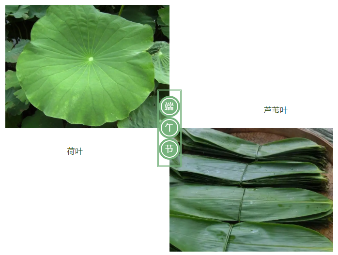 bg视讯医纺