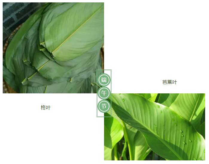 bg视讯医纺