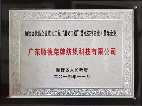 bg视讯-2012年获顺德政府颁发“星光企业”称号