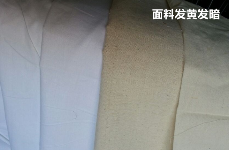 bg视讯医防医用面料