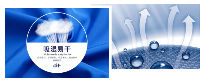 bg视讯医纺
