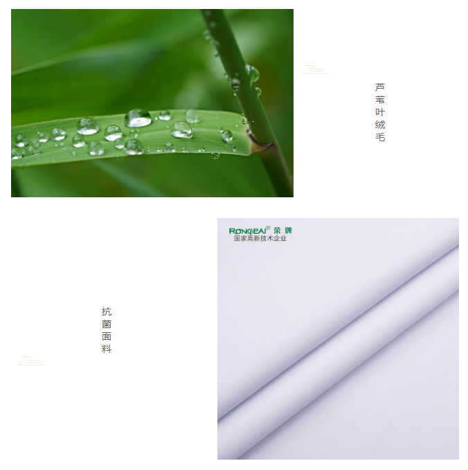 bg视讯医纺