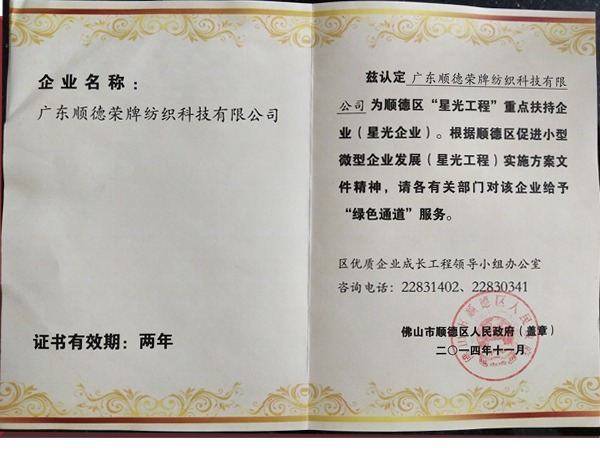 bg视讯荣获政府重点扶持企业